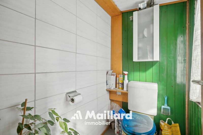 ORBE - Chalet mit 3 Zimmern auf einem 1'400 m² großen Grundstück (14)
