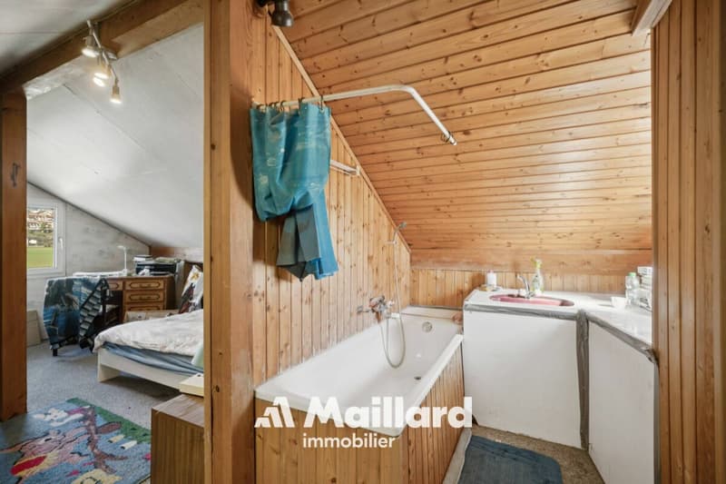 ORBE - Chalet mit 3 Zimmern auf einem 1'400 m² großen Grundstück (15)