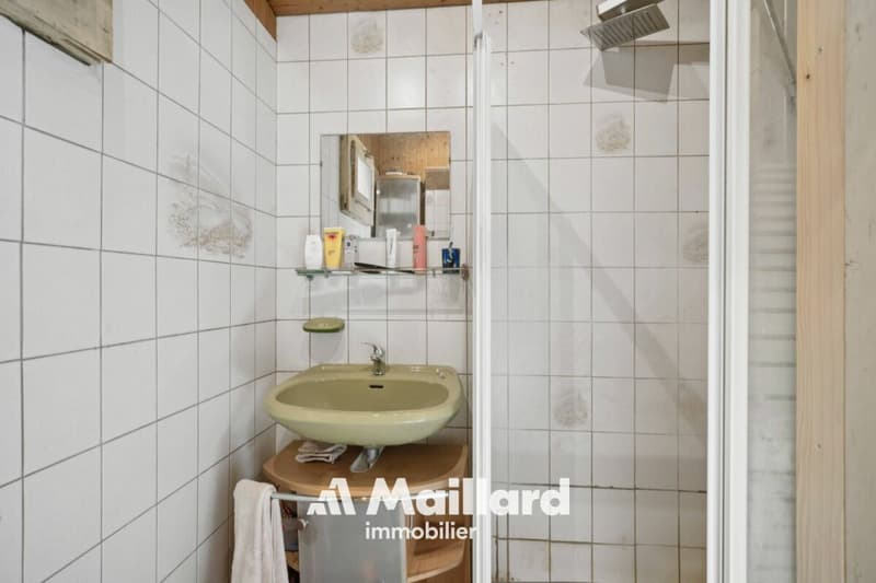 ORBE - Chalet mit 3 Zimmern auf einem 1'400 m² großen Grundstück (13)