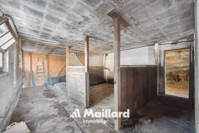 ORBE - Chalet mit 3 Zimmern auf einem 1'400 m² großen Grundstück (19)