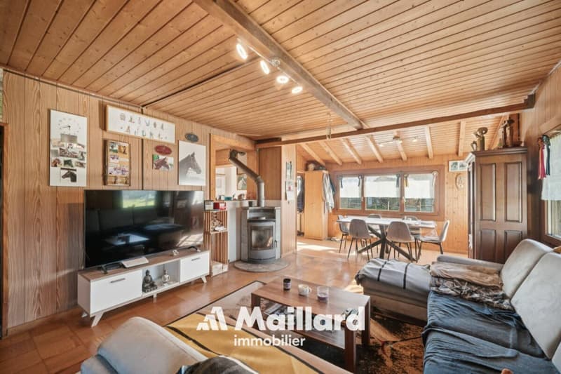 ORBE - Chalet mit 3 Zimmern auf einem 1'400 m² großen Grundstück (9)