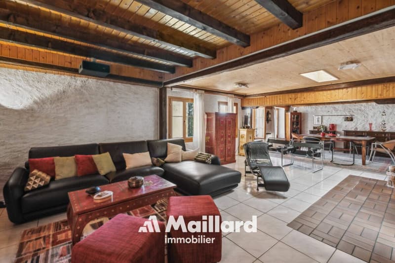 6.5 pièces de 200 m² avec balcon tropézien et vue lac (3)