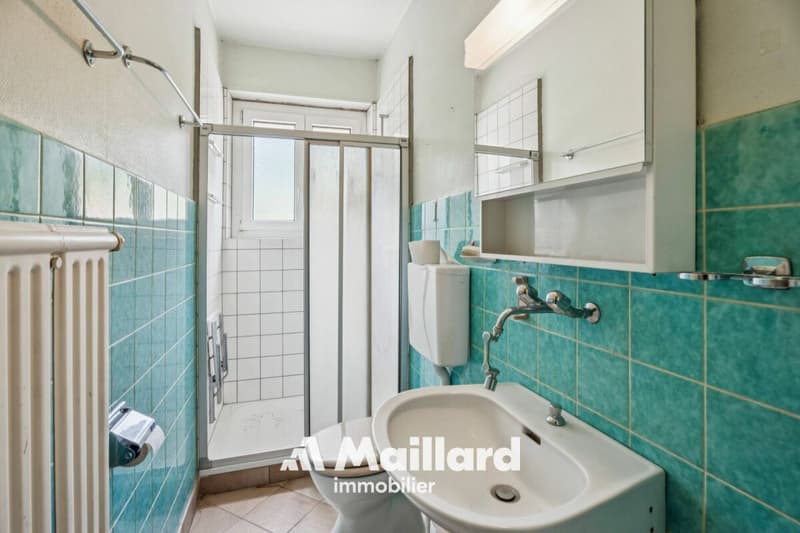 A louer - Maison individuelle avec vaste parcelle de plus de 1'900 m² (10)