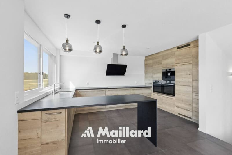 Semi-detached villa of 5.5 rooms in Cudrefin (3)