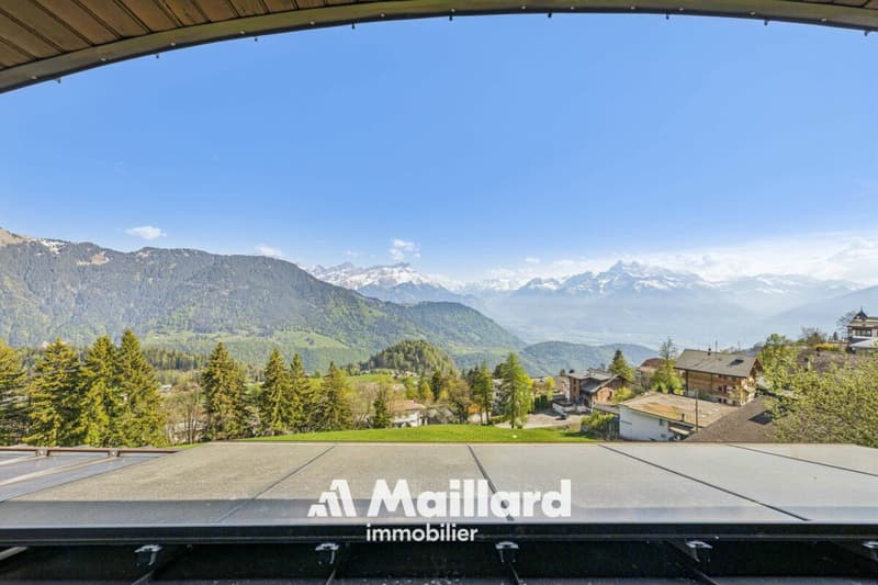 Ambiance cosy pour cet appartement de 3.5 pièces avec vue grandiose! (12)