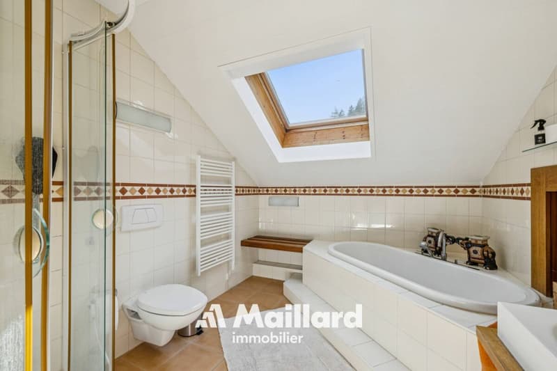 Ambiance cosy pour cet appartement de 3.5 pièces avec vue grandiose! (9)