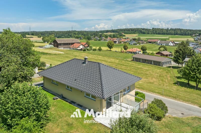 Individual villa with 2 apartments (3)