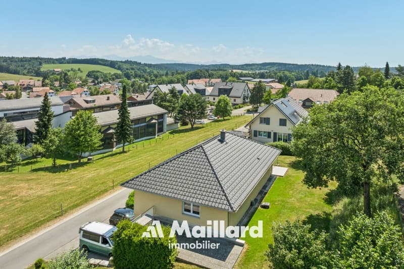 Individual villa with 2 apartments (2)
