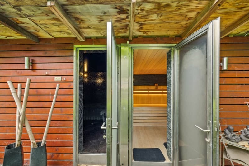 Luxury and nature just two steps from the center - Private contemporary villa in Grand-Lancy (6)