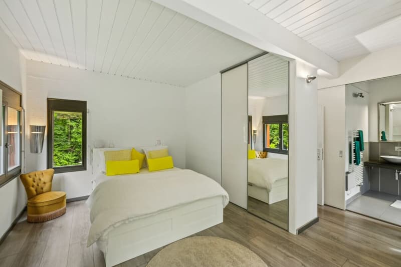 Luxury and nature just two steps from the center - Private contemporary villa in Grand-Lancy (15)