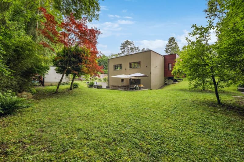 Luxury and nature just two steps from the center - Private contemporary villa in Grand-Lancy (4)