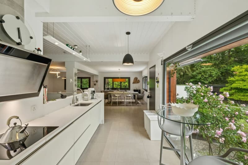 Luxury and nature just two steps from the center - Private contemporary villa in Grand-Lancy (11)