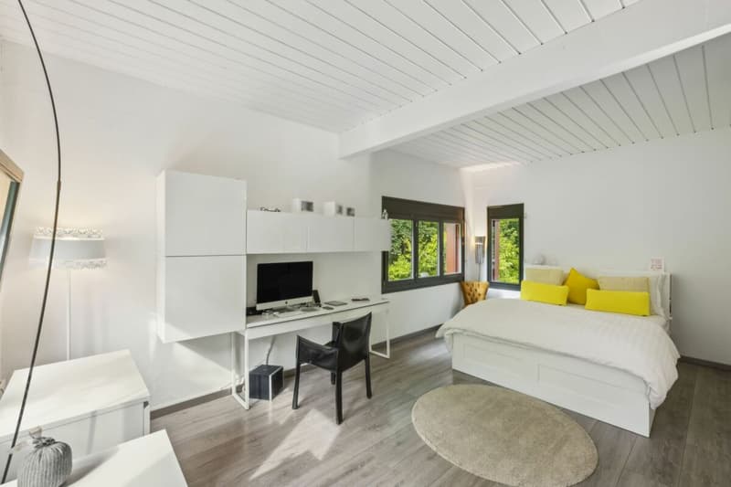 Luxury and nature just two steps from the center - Private contemporary villa in Grand-Lancy (12)
