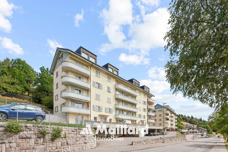 appartement de 6.5 pièces (1)