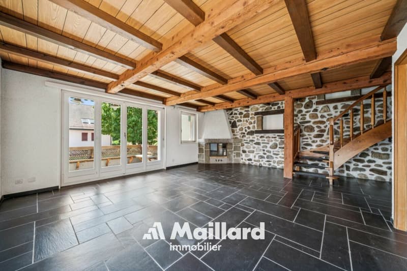 Un appartement familial aux volumes généreux au coeur du Vieux Bourg de Gland (4)