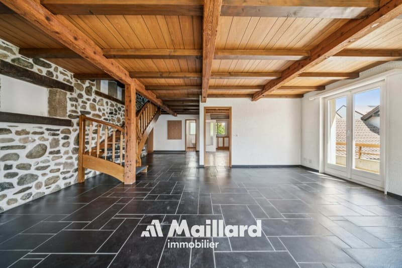 Un appartement familial aux volumes généreux au coeur du Vieux Bourg de Gland (2)