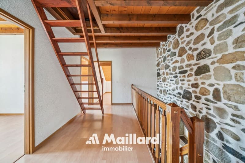 Un appartement familial aux volumes généreux au coeur du Vieux Bourg de Gland (12)