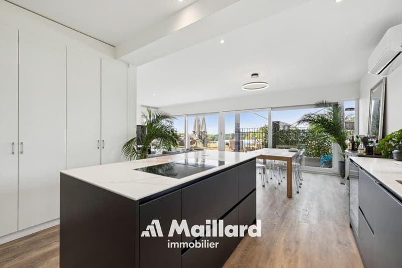 Superbe attique contemporain doté d'une terrasse privative de plus de 100 m² (5)