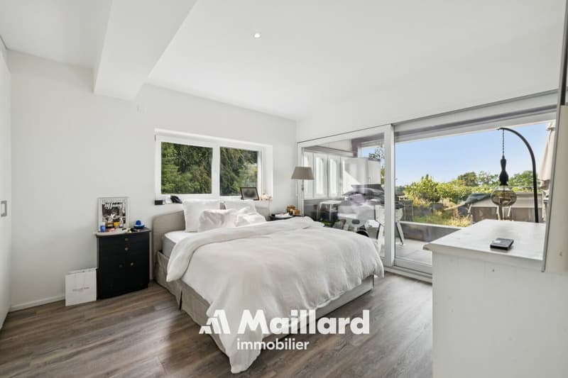 Superbe attique contemporain doté d'une terrasse privative de plus de 100 m² (9)