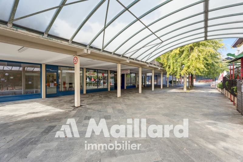 Local commercial à Bussigny (11)