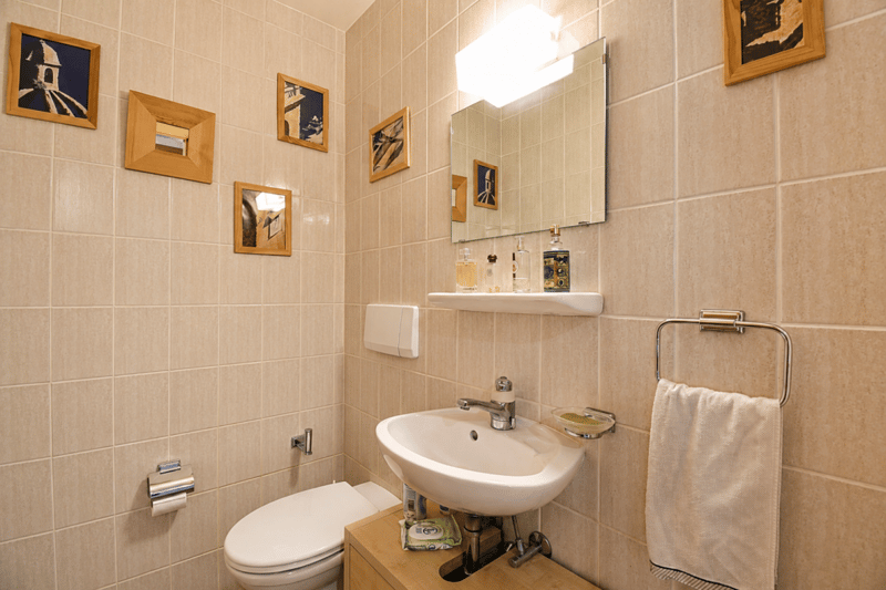 Lot de 2 appartements (3,5 pièces + studio) à Champéry (10)