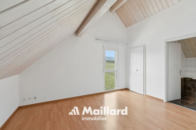 Charmante maison familiale dans un cadre calme et privilégié (6)