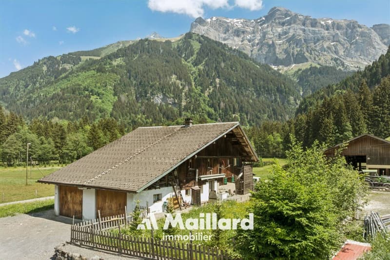 Chalet à Champéry (19)