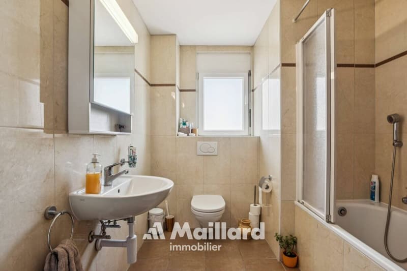 Charmante maison contiguë avec jardin à Perroy (8)