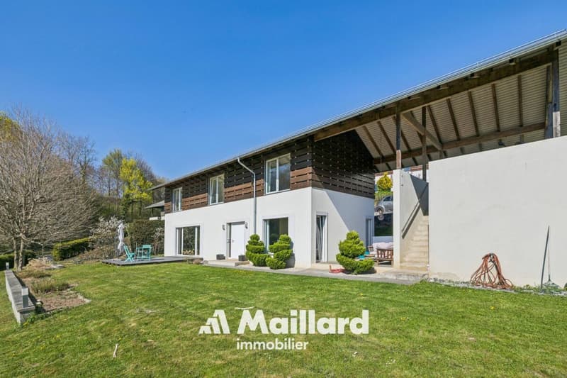 Villa individuelle contemporaine de 5.5 pièces (1)