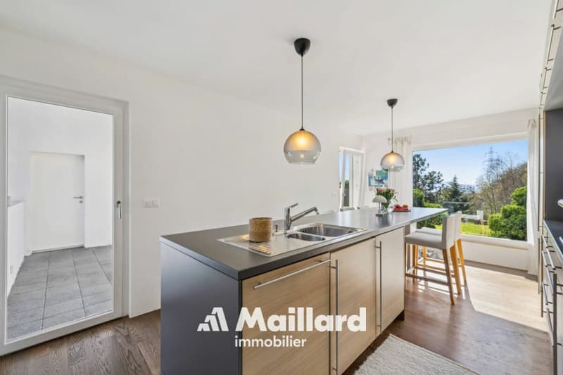 Villa individuelle contemporaine de 5.5 pièces (4)