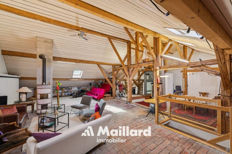 L'Isle - Belle maison villageoise rénovée avec jardin (16)