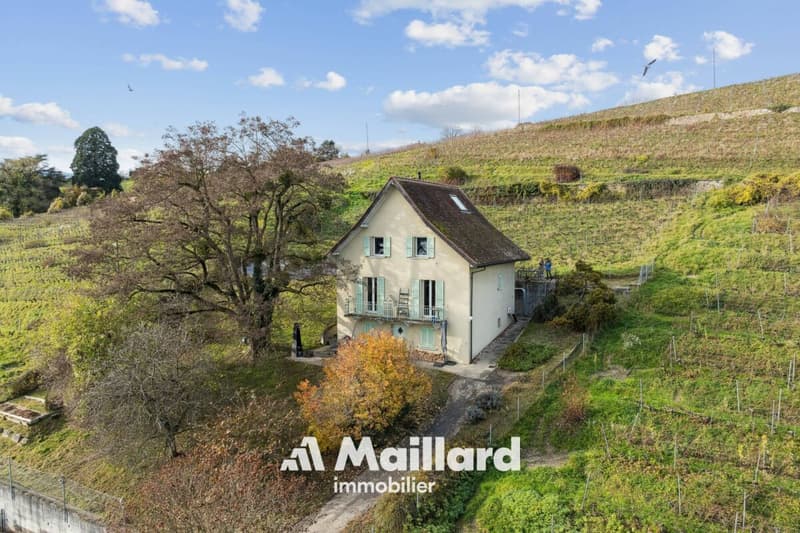Grandson - Maison individuelle rénovée de 4.5 pièces (20)