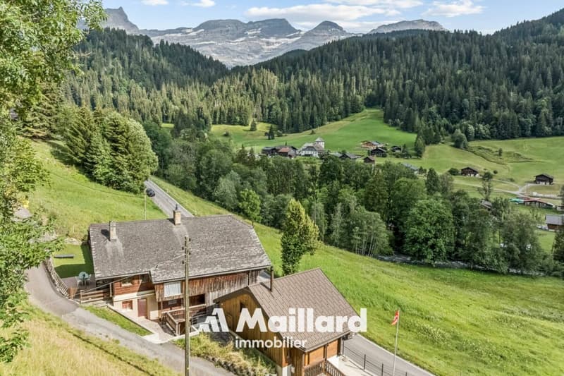 Immeuble de 4 logements proche des Diablerets (14)