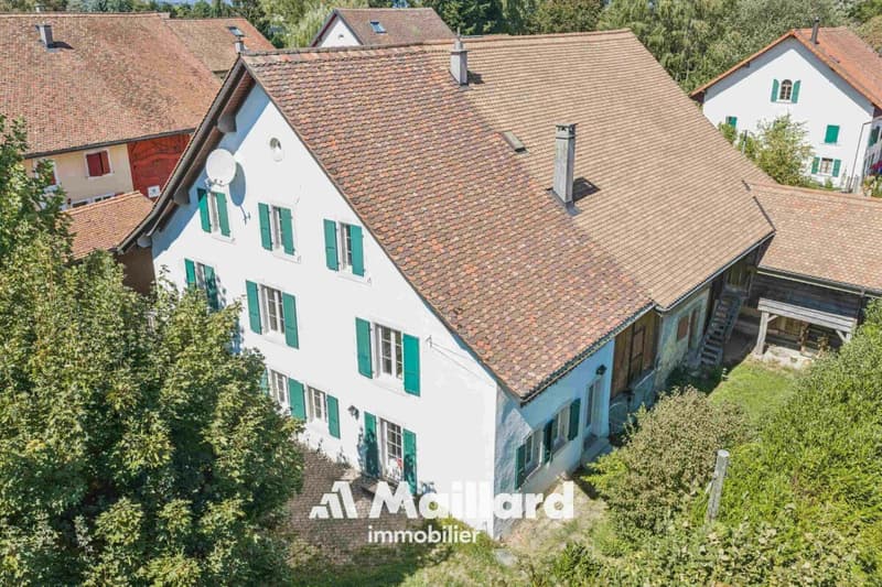 Bercher - Authentique ferme de 5.5 pièces avec grange sur une vaste parcelle de 2'309 m2 (2)