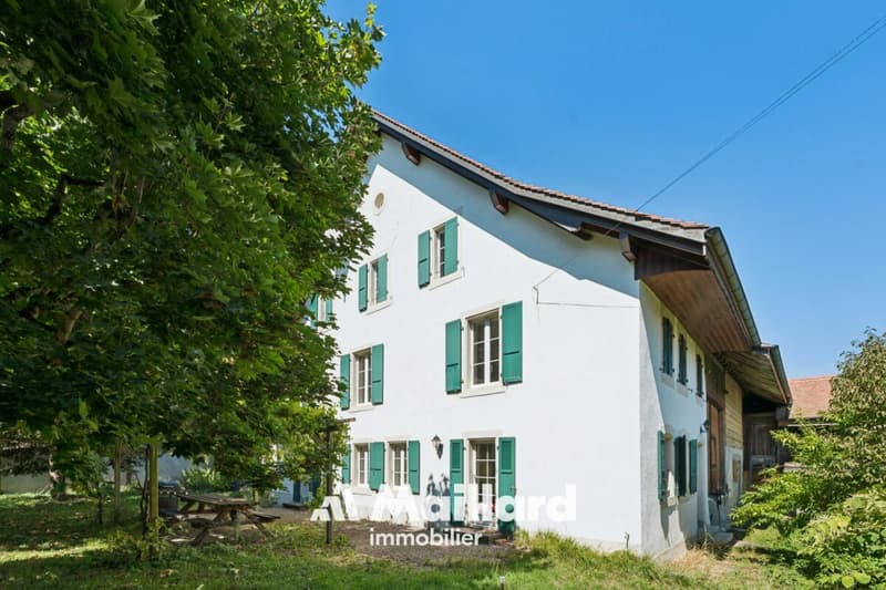 Bercher - Authentique ferme de 5.5 pièces avec grange sur une vaste parcelle de 2'309 m2 (3)