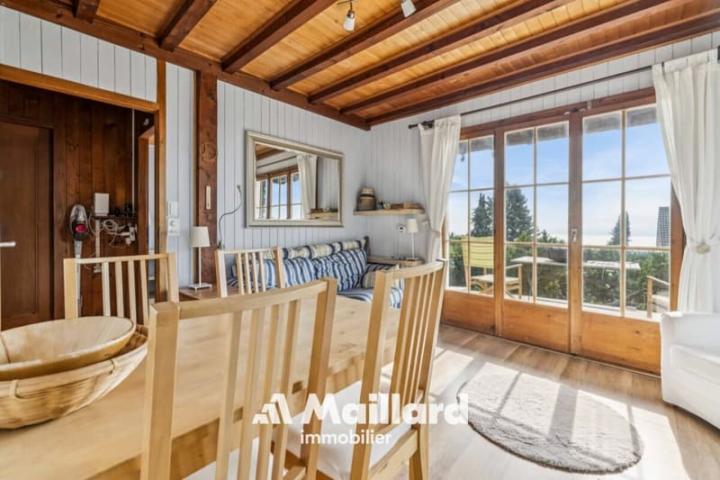 Charmant chalet, avec vue sur le lac et les Alpes, implantés sur une belle parcelle constructible ! (5)