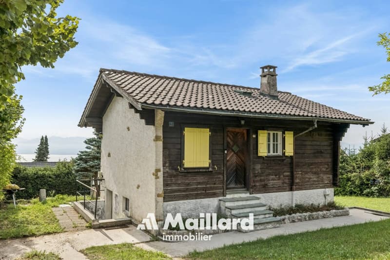 Charmant chalet, avec vue sur le lac et les Alpes, implantés sur une belle parcelle constructible ! (9)