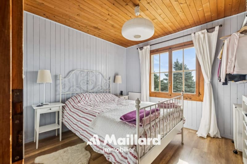 Charmant chalet, avec vue sur le lac et les Alpes, implantés sur une belle parcelle constructible ! (6)