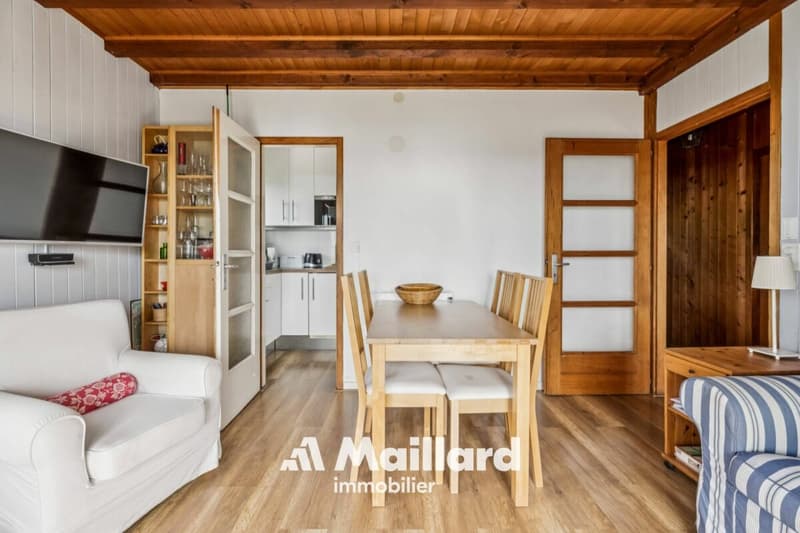 Charmant chalet, avec vue sur le lac et les Alpes, implantés sur une belle parcelle constructible ! (4)