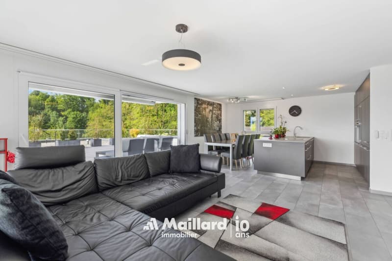 4.5 pièces avec immense terrasse de 60 m² et jardin (6)