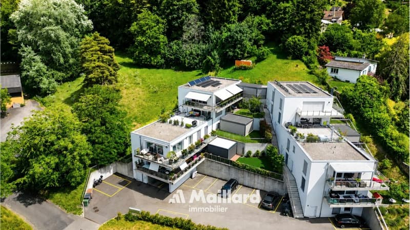 4.5 pièces avec immense terrasse de 60 m² et jardin (1)