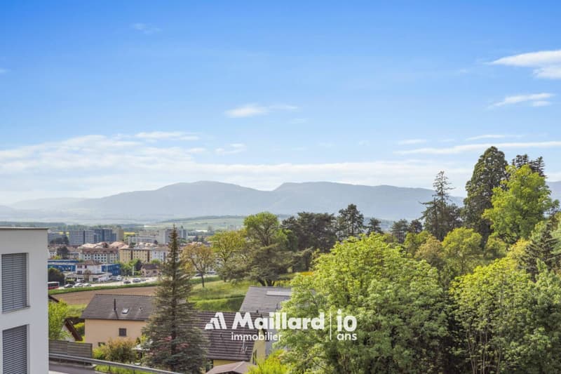 4.5 pièces avec immense terrasse de 60 m² et jardin (2)