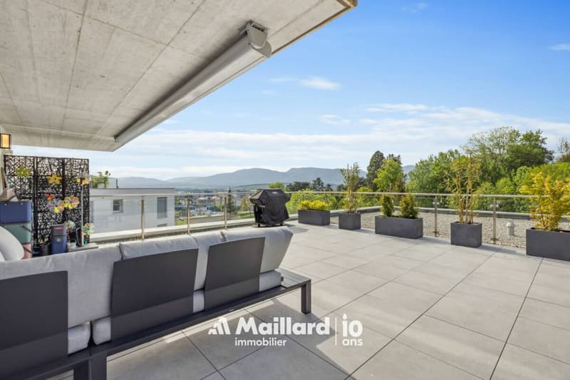 4.5 pièces avec immense terrasse de 60 m² et jardin (4)