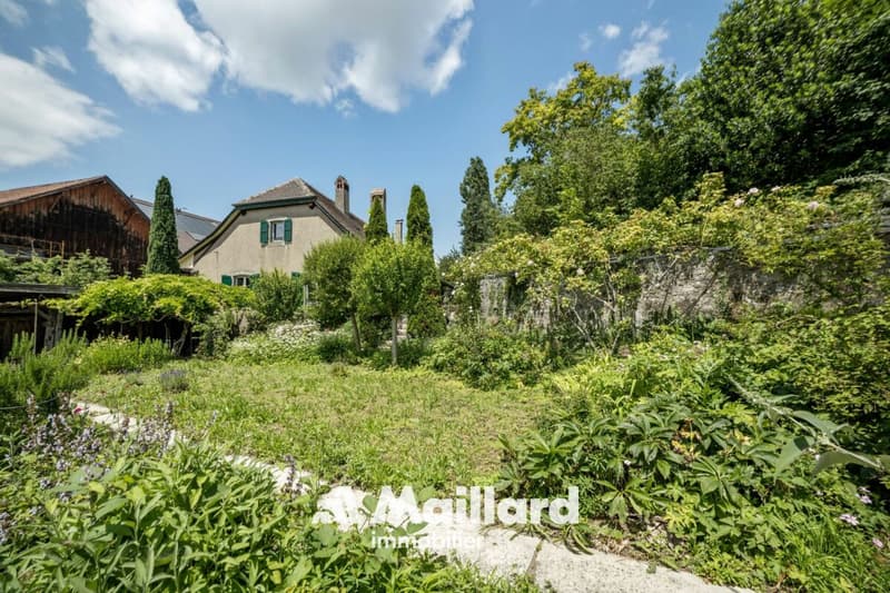 Suchy - Maison villageoise de caractère avec jardin et grands volumes (9)
