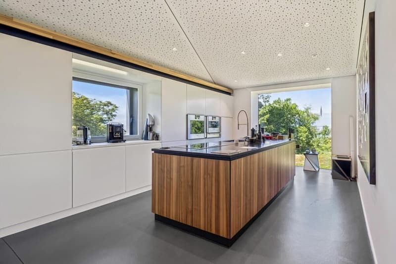 Villa d'architecte contemporaine au coeur d'un environnement privilégié (7)