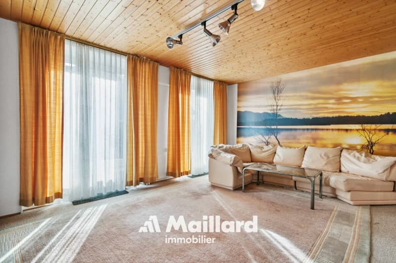 Grande maison villageoise avec 2 appartements indépendants (6)