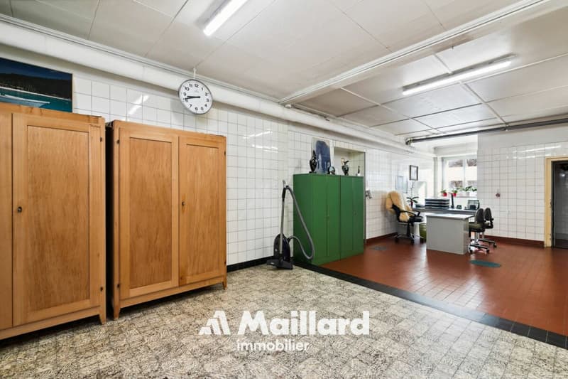 Grande maison villageoise avec 2 appartements indépendants (14)