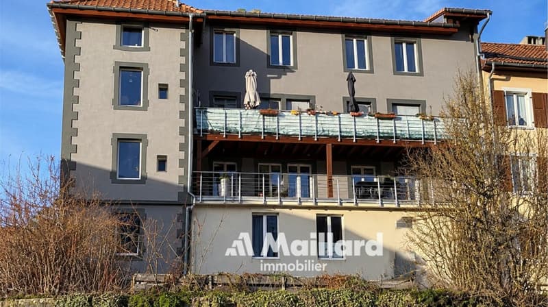 Immeuble mixte avec rendement (1)
