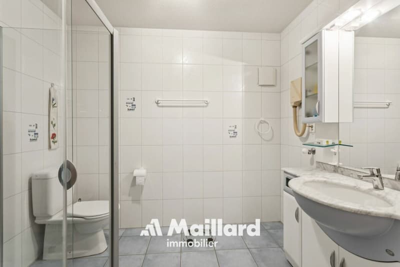 Yverdon - Spacieux appartement de 4.5 pièces (12)