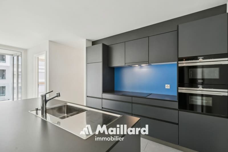 Magnifique appartement à Martigny (3)